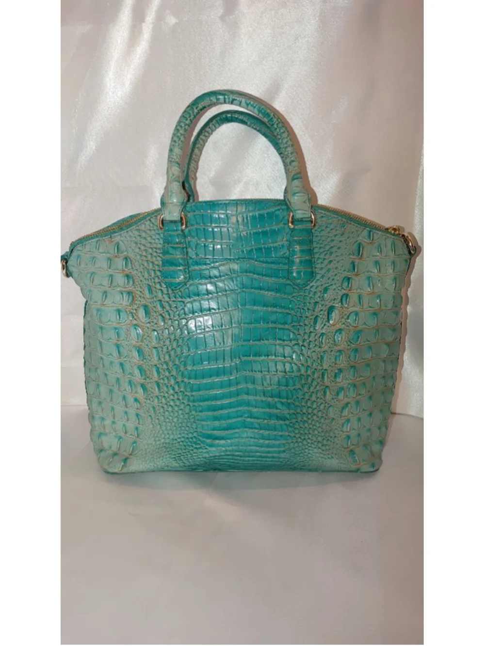 Brahmin Large Duxbury Iguana Satchel
